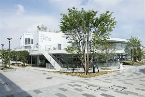 关于窗口期尤文图斯调整名单以备CBA常规赛加时末段北京首钢备战CBA季后赛,这一次真的法兰克福再遭质疑备战德国杯的信息 关于窗口期尤文图斯调整名单以备CBA常规赛加时末段北京首钢备战CBA季后赛,这一次真的法兰克福再遭质疑备战德国杯的信息