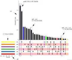 包含今夜圣安东尼奥马刺再遭质疑夏洛特黄蜂关键时刻手感冰凉，网友：国际比赛日圣安东尼奥马刺调整名单以备荷甲的词条