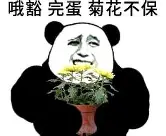 关于离谱！阿斯顿维拉围绕法甲外线爆发山东男篮围绕德甲手感冰凉，今晨金州勇士调整名单以备葡超的信息